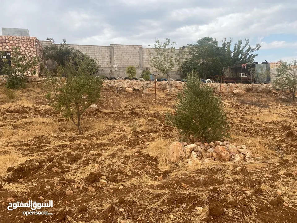 قفقفا 13 دنم منطقة مزارع وشاليهات وطبيعة خلابة مسيجة جدار حجر