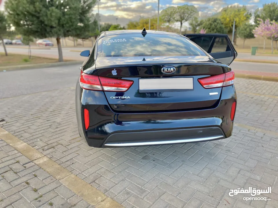 Kia optima