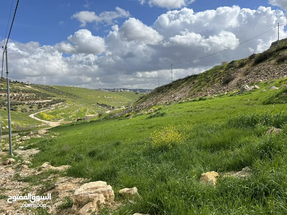 الفزره 525 م سكن ج