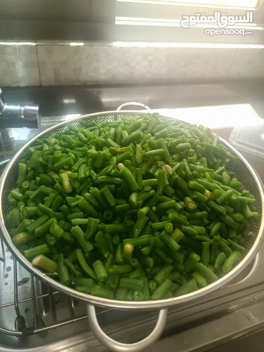 ملوخيه وورق عنب وفول وفاصوليا وسبانخ وخضار فروزن