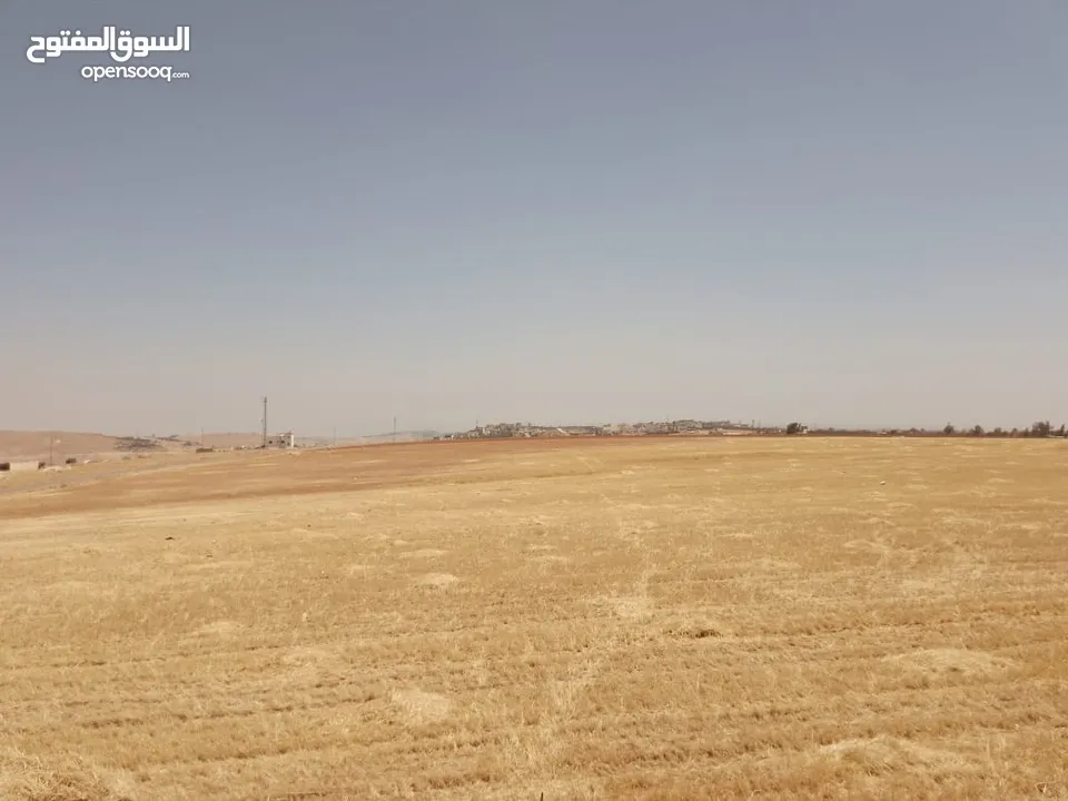 مادبا ماعين المشرفة قطعة ارض زراعية مميزة واصل الخدمات ذات اطلالة على البحر الميت واصل الخدمات