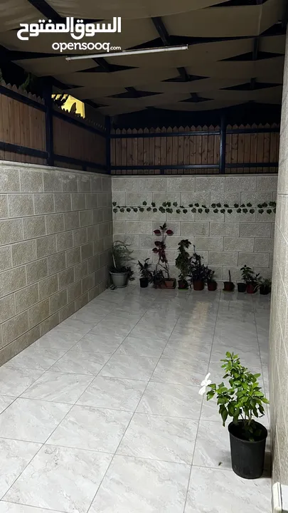 شقة ارضية للبيع