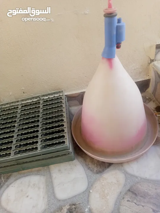 بياضات دجاج ومعالف ومشارب  واقفاص طابقين  للفري وطباق  بيض فري للفقاسات ايطالي للبيع بحاله ممتازه