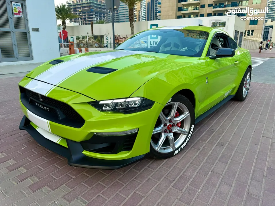 2024 super sneak Shelby body kit