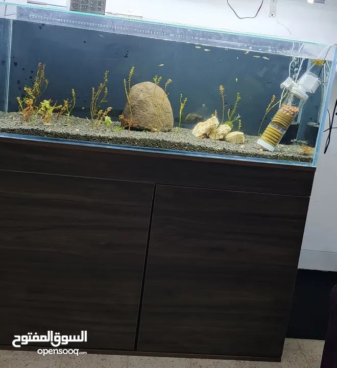 حوض فارغ تماما  مع خزانه    السبب البيع بدي اكبر