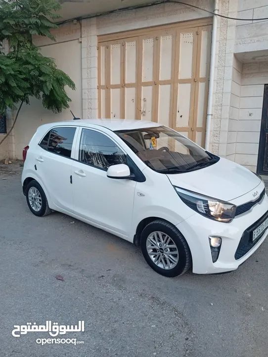 كيا بيكانتو 2022 سعر حرق على الكاش إمكانية البيع نص كاش ونص شكات مع فرق في السعر إمكانية البدل