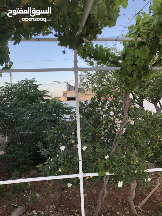 عمارة للبيع استثمار مربح