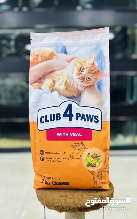 افضل طعام للقطط club for paws دراي فود