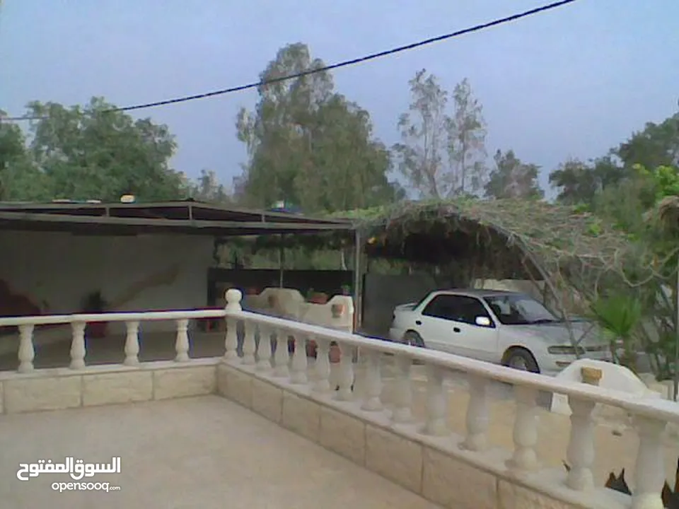 بيت للبيع في منطقه الغور