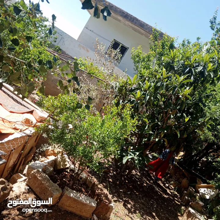 منزل مستقل للبيع في عرجان للاستفسار على هاذ الرقم