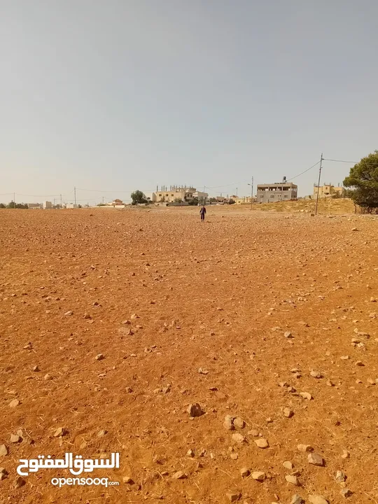 أرض مميزة في خشافية الشوابكة