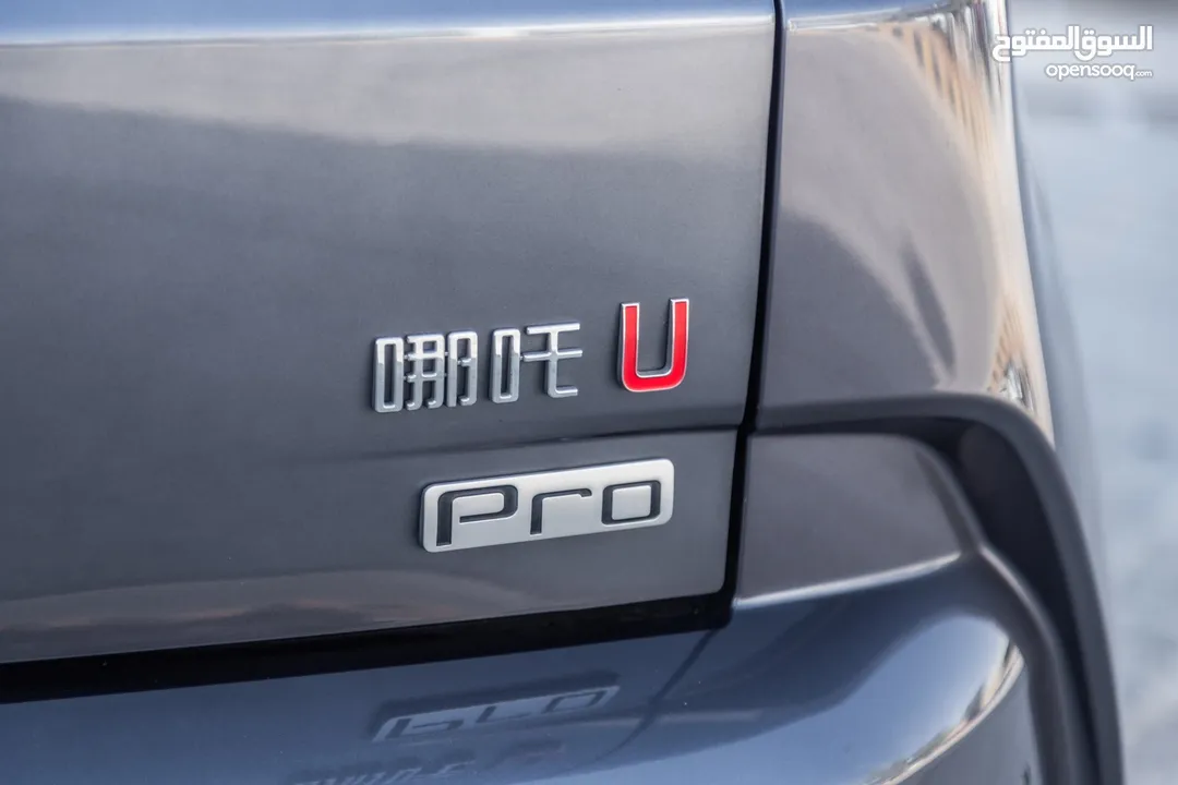 2022 Neta U400 PRO