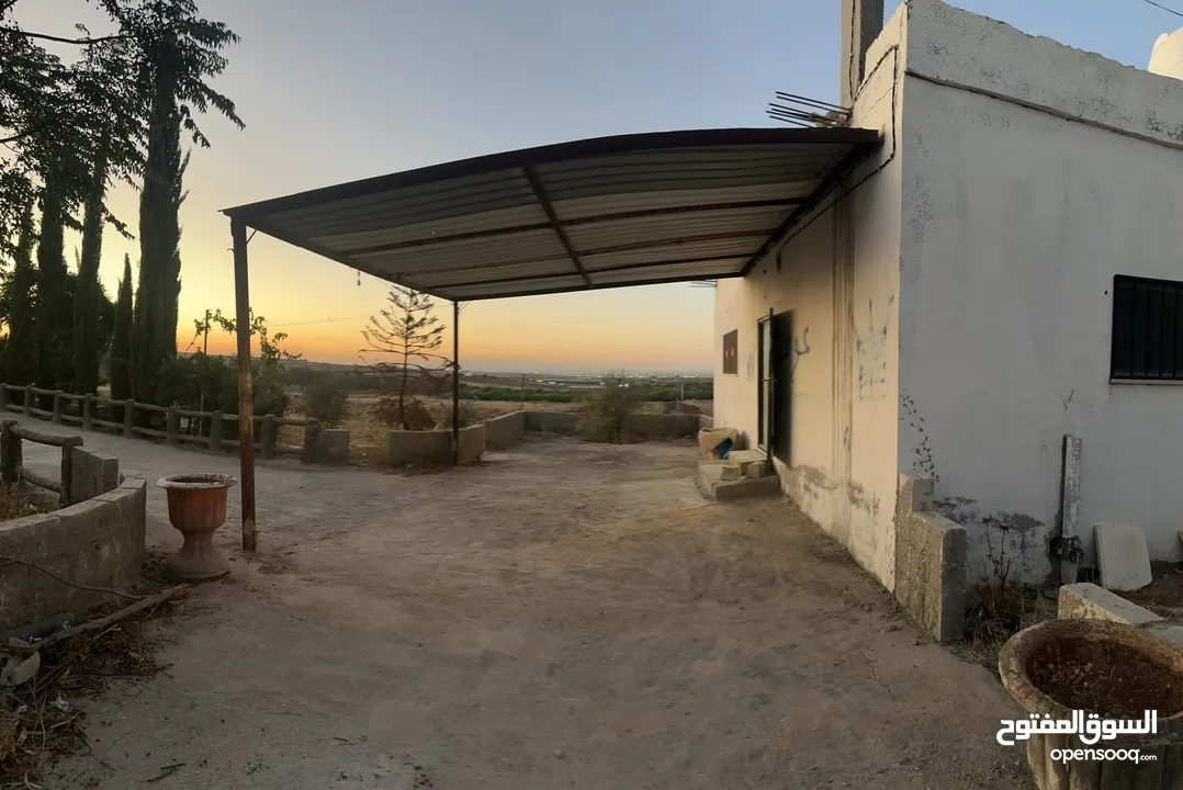 مزرعه للبيع مساحتها دلم