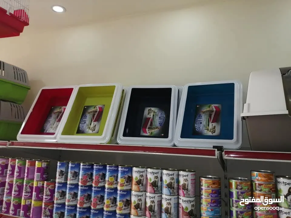بظاعة محل طيور وحيوازات اليفه للبيع