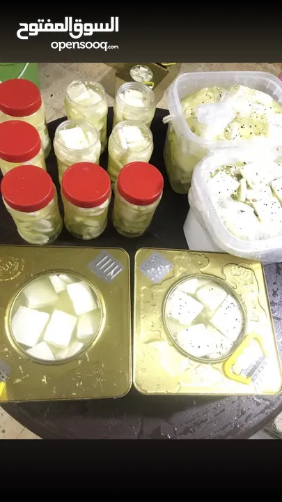 اجبان والبان