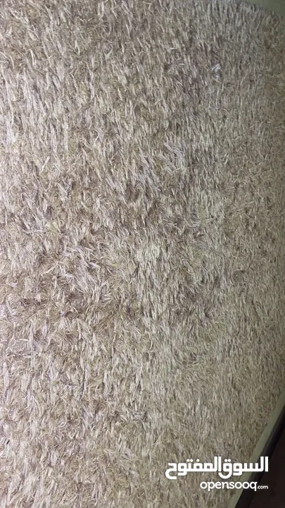 سجاد بحالة الممتاز