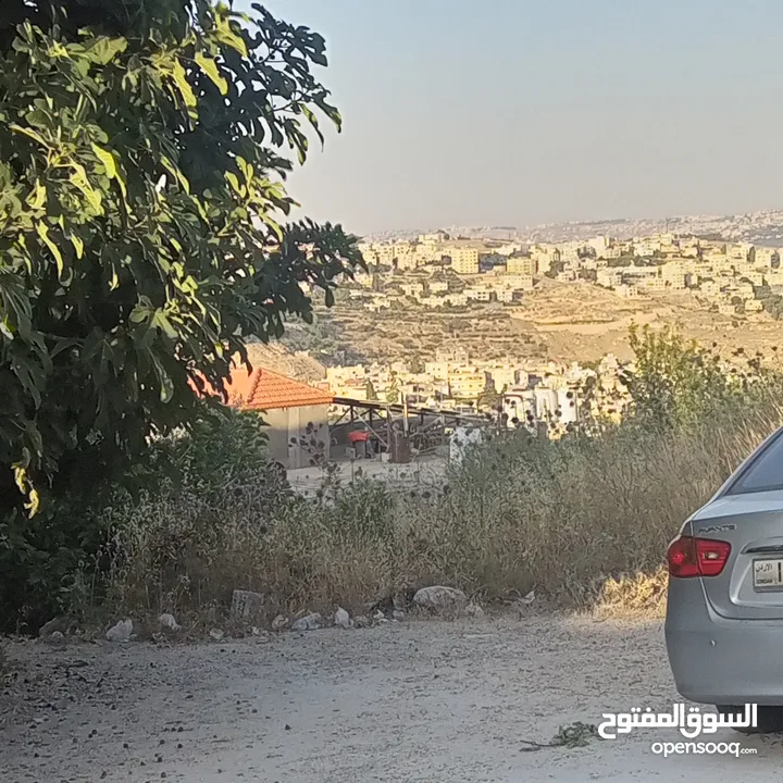 قطعه أرض في نقب الدبور السلط للبيع بسعر مغري
