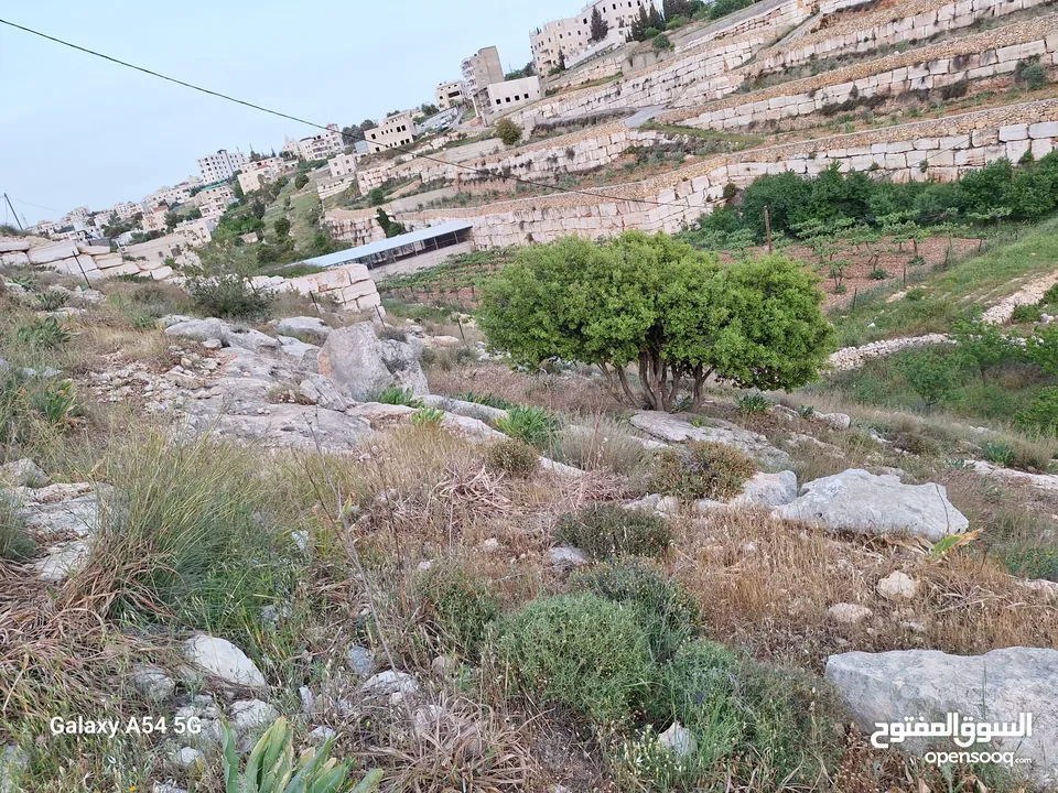 قطعة ارض للبيع في مدينة الخليل في منطقة فرش الهوى - بئر عركة