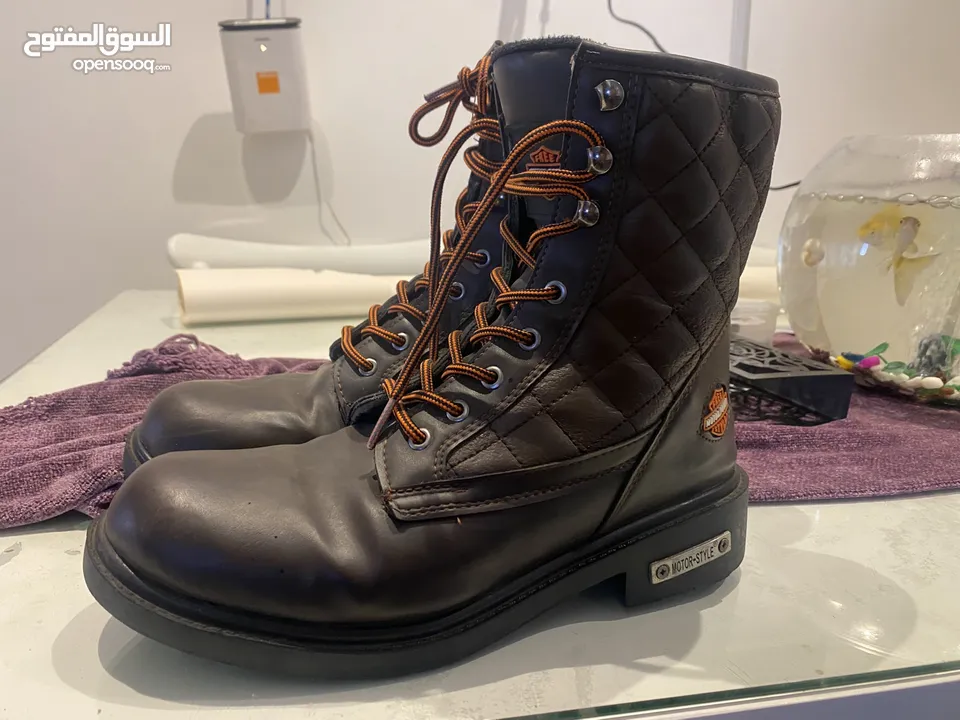 بوت هارلي (copy)