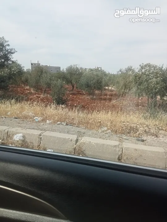 ارض سكنيه فيه حواره مفروزه للبييع