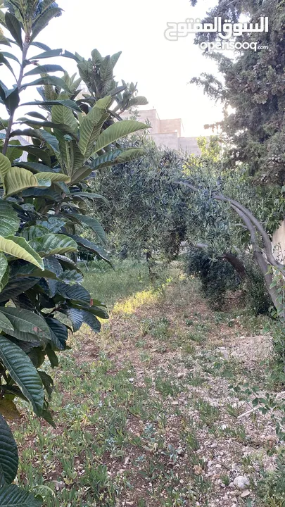 عقارات للبيع