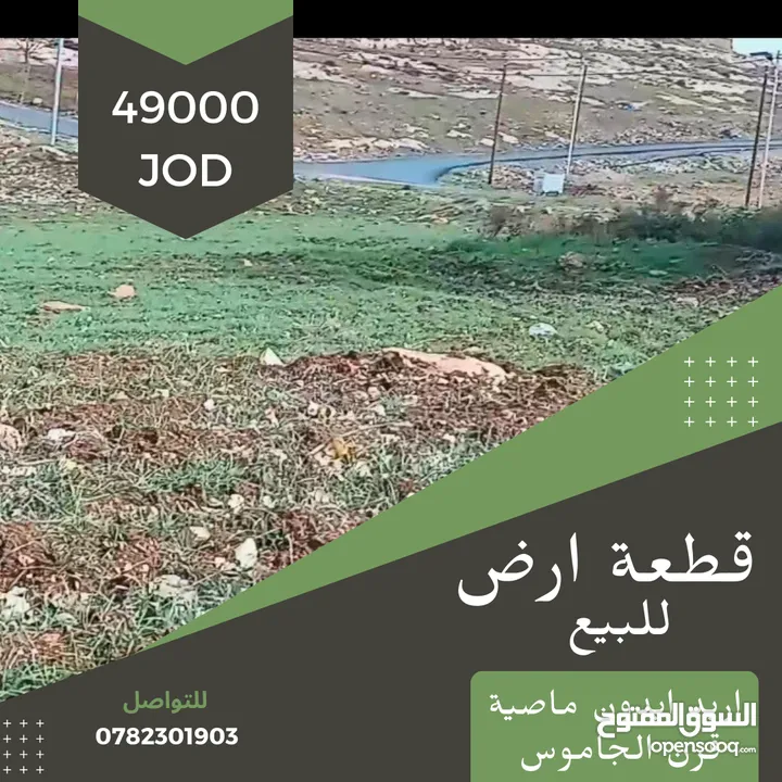 ارض للبيع من المالك مباشرة ، ايدون - ماصية قرن الجاموس خلف مدرسة حفصة بنت عمر الأساسية المختلطة