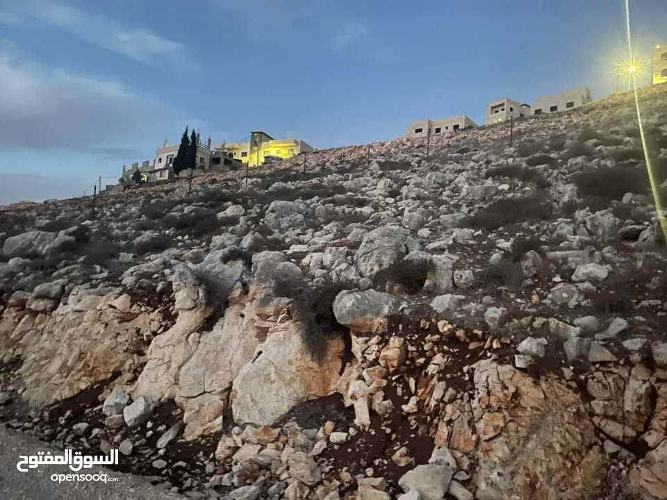ارض للبيع نابلس الجديدة