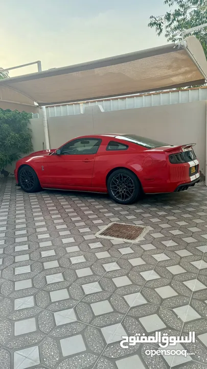 Shelby Gt500 شيلبي 2014