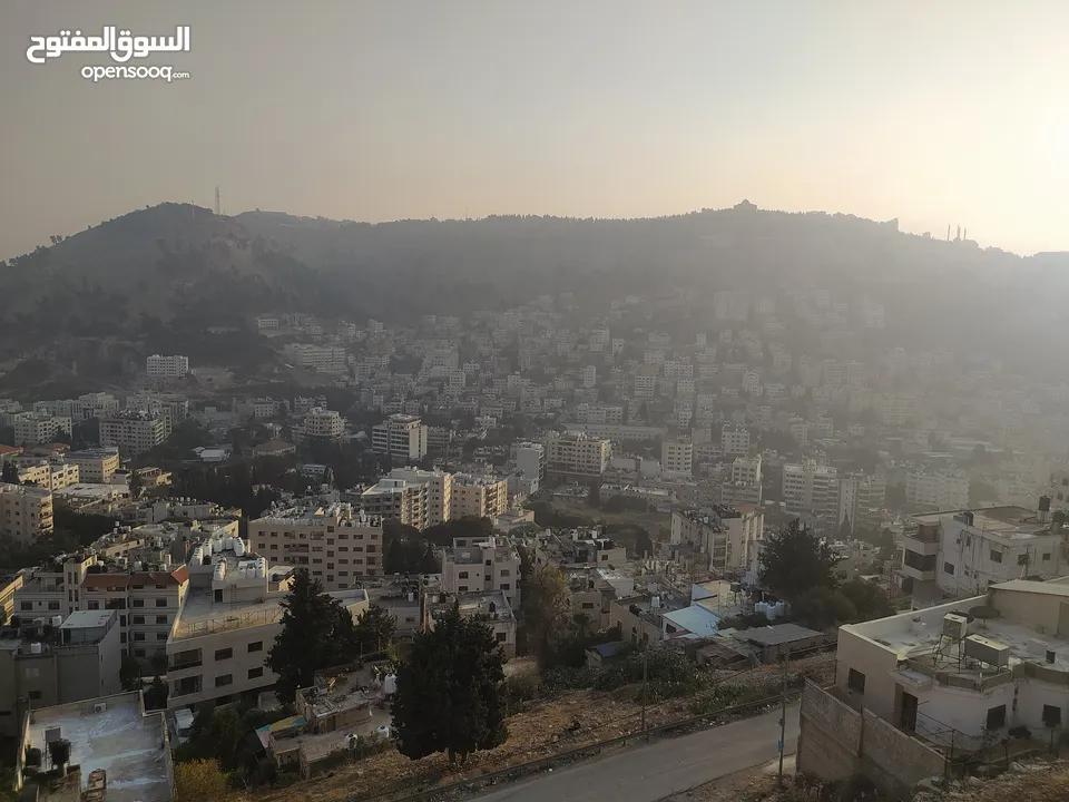 شقه مشطبه 30% ( مقصوره )