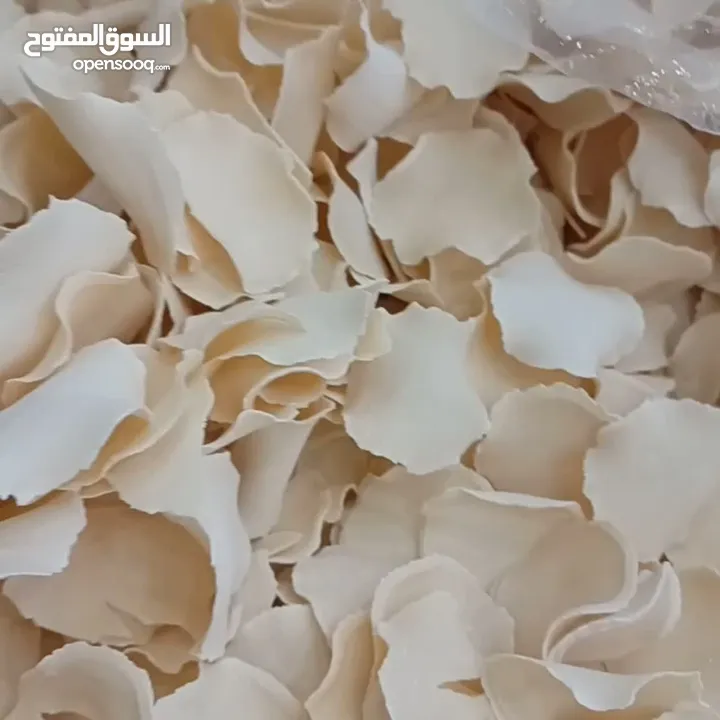 ورقة الخثارة کلاونگ