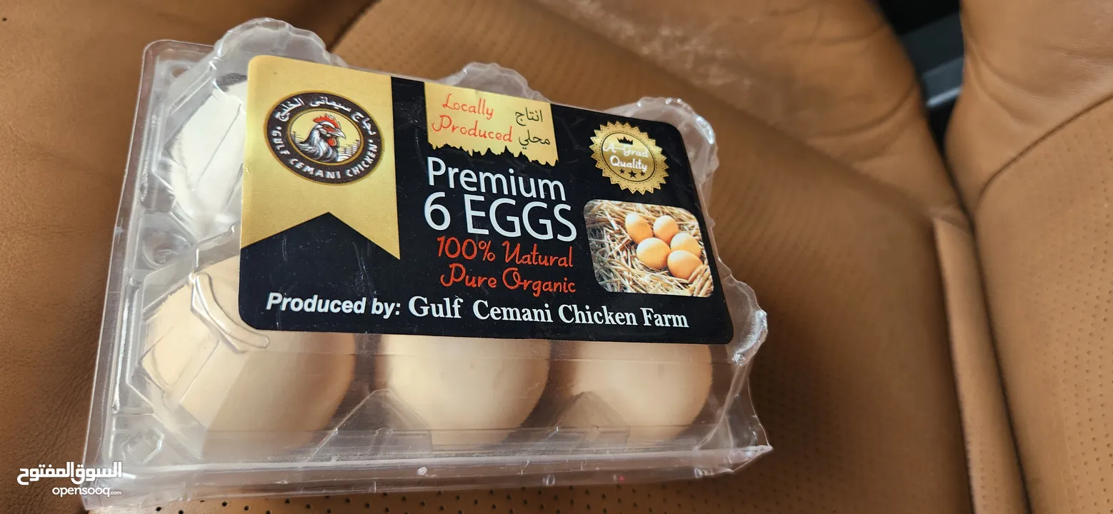 Organic chicken eggs & chicken meat