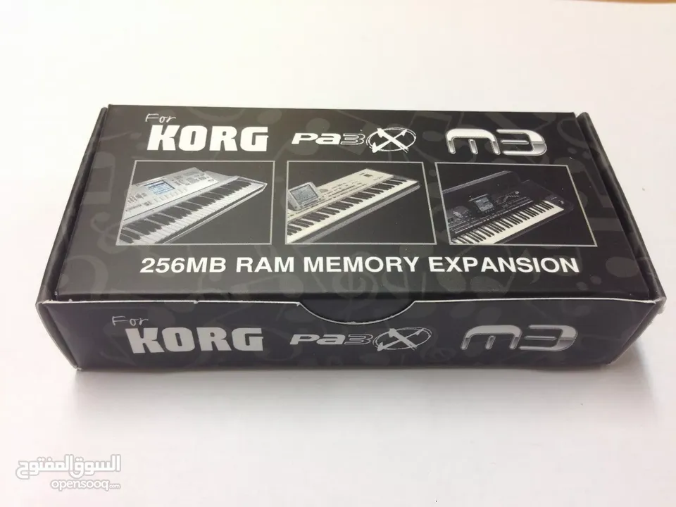 Korg 256MB RAM Memory