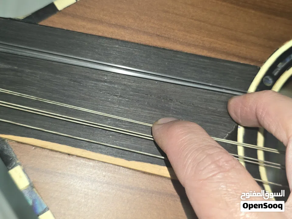 عود مصري للبيع