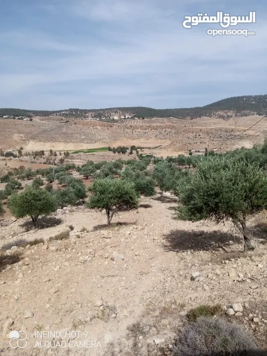 للبيع مزرعة في قرية الرميمين