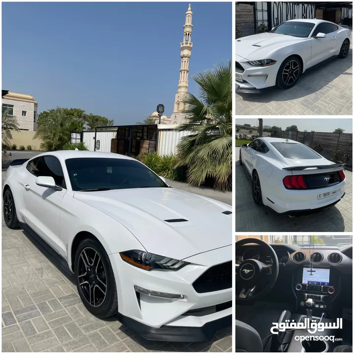 mustang 2020 ecoboost