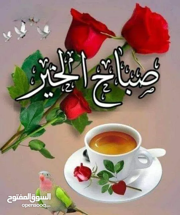 ماكنه تريكو ناقصه للبيع
