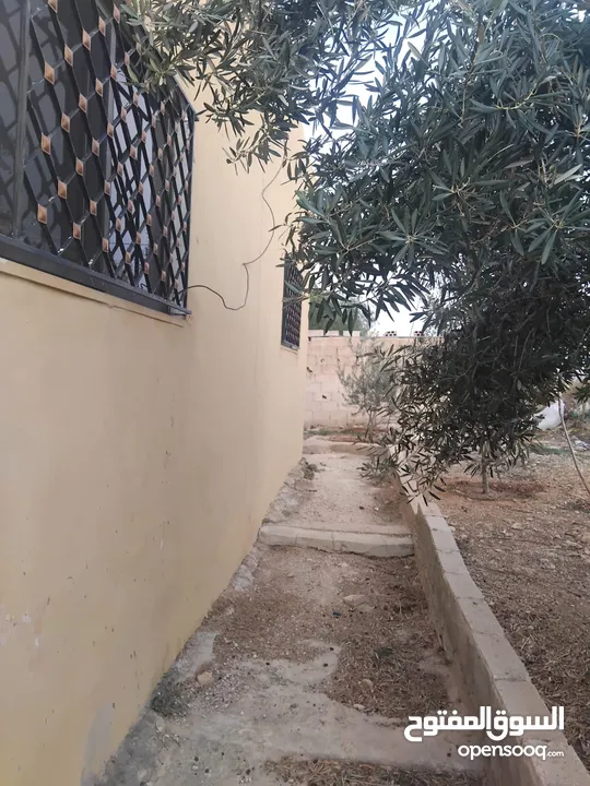 بيت للبيع في قريه دليله المطيرات شرق مادبا