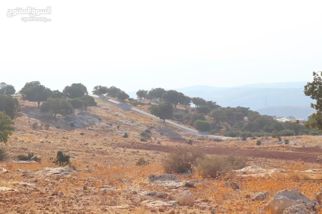 أرض للبيع في أرقى احياء المملكة بدر الجديدة ذات اطلاله عاليه لا يمكن حجبها