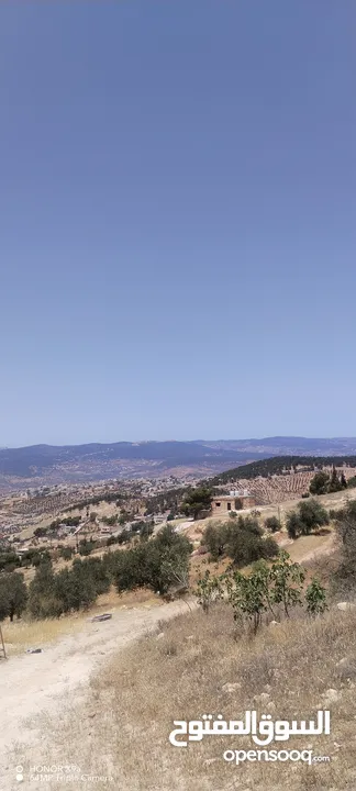 3600متر مزروعات باشجار الزيتون كامل القطعة مطلة وكاشفة