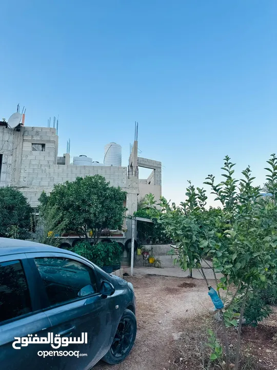 ابونعيم عمر