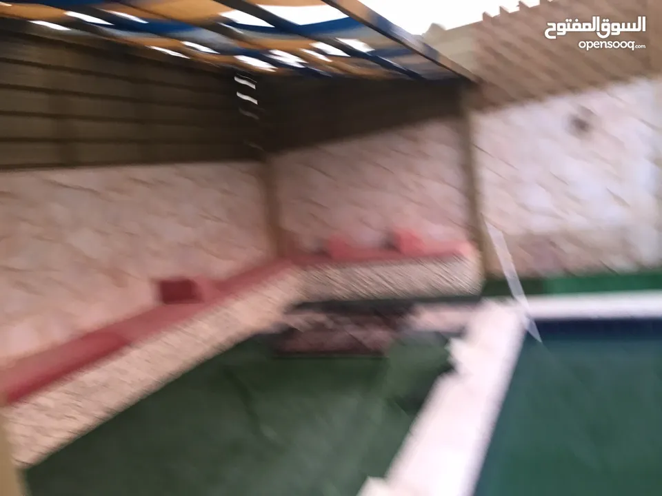 شاليه Rose Al Emad المميز للايجار الغورالبحر الميت  للايجار   يومي او اسبوعي او شهري خصم 50 بالميه