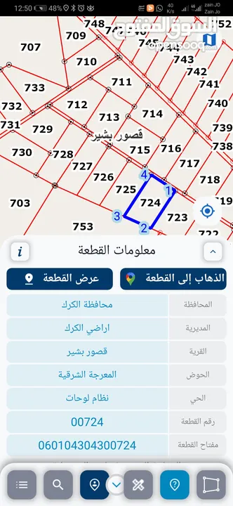 للبيع ارض 250 دونم قصور بشير الكرك عشرات