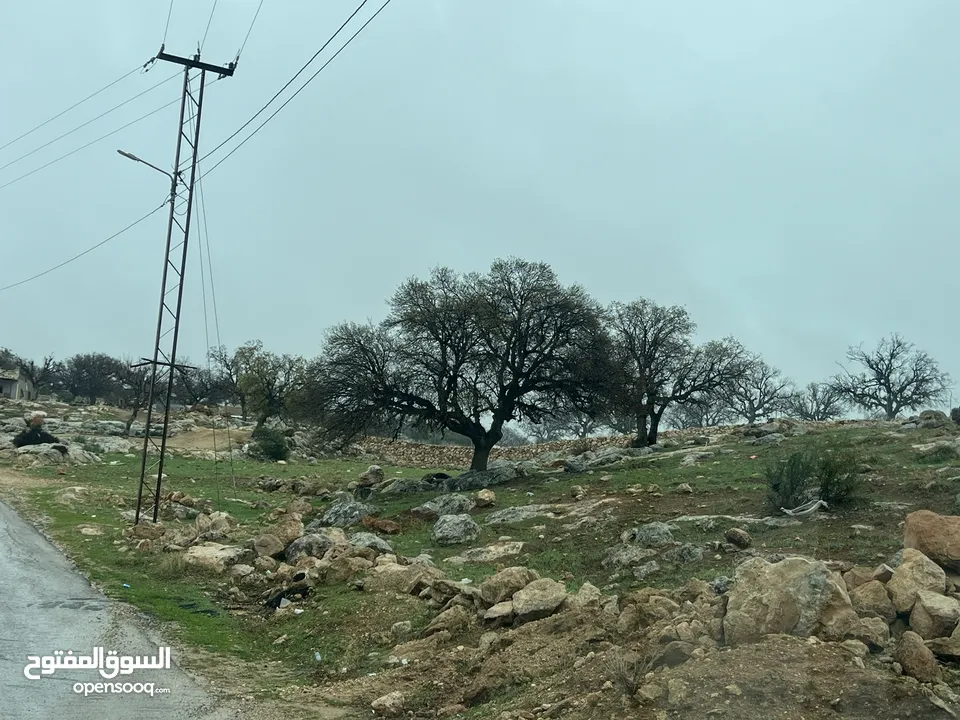 ارض على شارع الكاشف الرئيسي - بدر