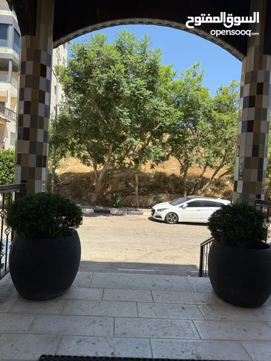 شقة مفروشة / الماصيون