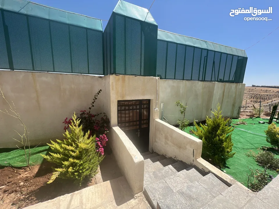 شيليه و مزرعة  للبيع او للايجار