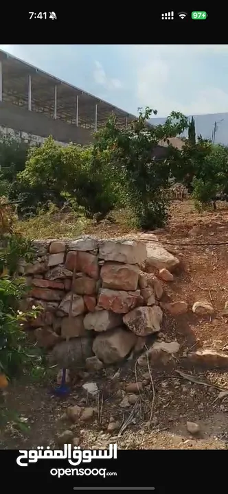 أرض زراعية او سكنية للبيع 2 دونم و 580 متر