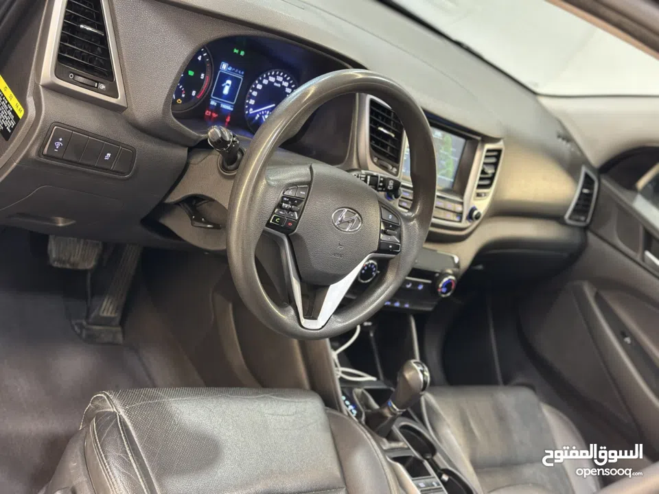 احمد سامي سليط