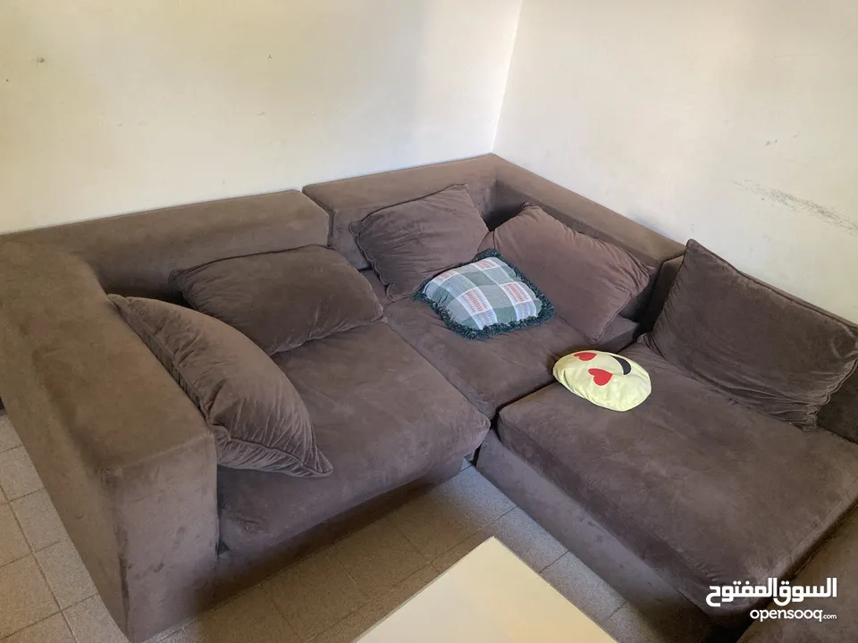 Fully furnished sharing flat for rent for Muslim