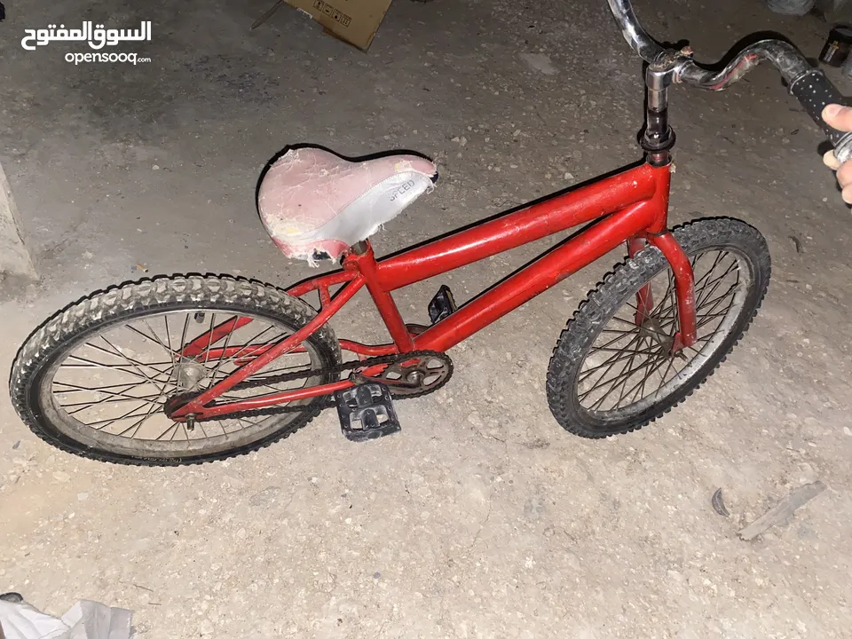 3 بسكاليتات للبيع