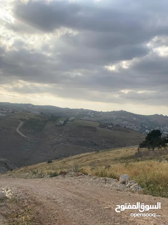 السلط السرو
